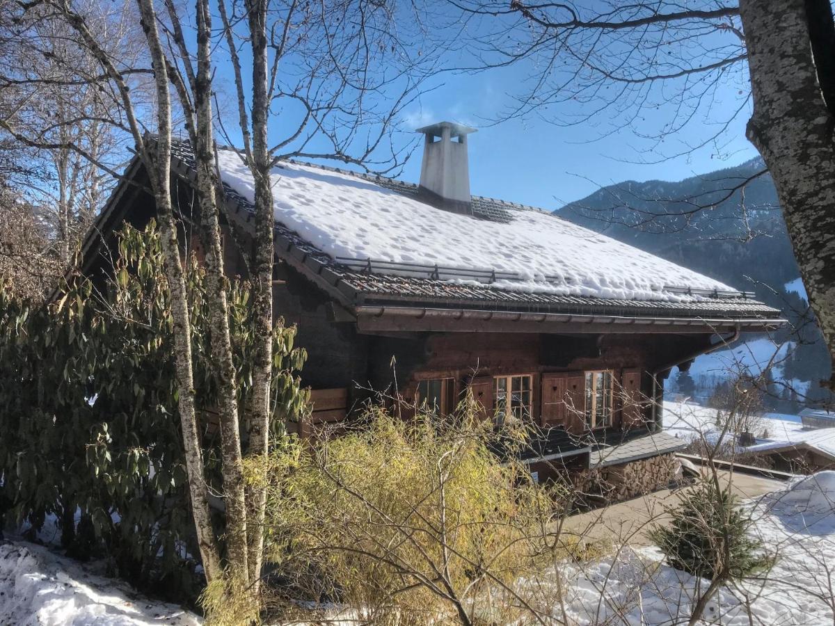 Les Jumelles Villa Gstaad Luaran gambar