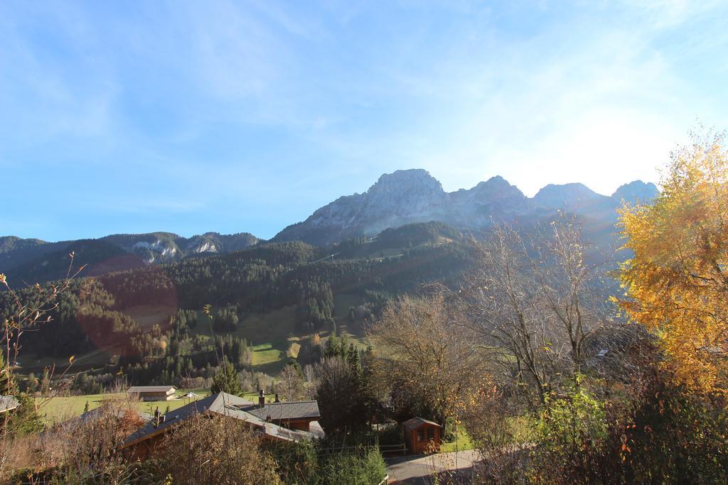 Les Jumelles Villa Gstaad Bilik gambar